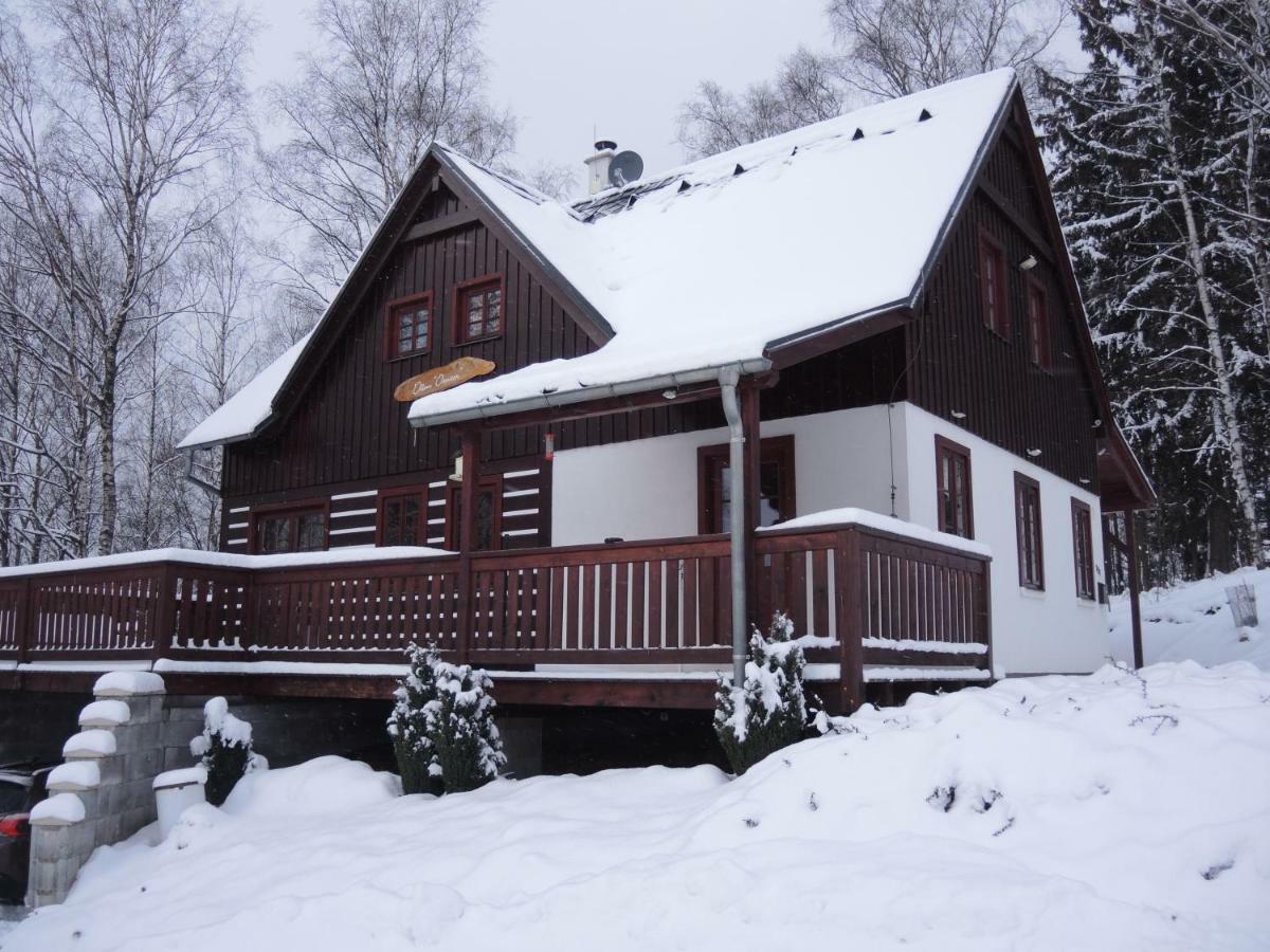 Vakantie Huis Dum Oenter Villa Lučany nad Nisou Esterno foto